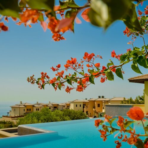 Aphrodite Hills Hotel *****