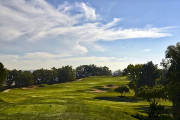 Hole 12 Olivier Course