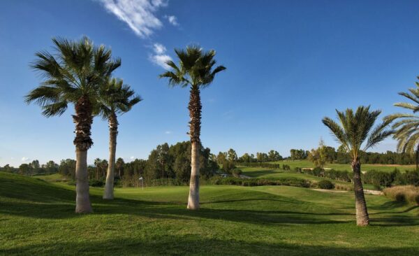 Hole 15 Olivier Course